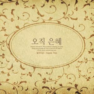 Listen to Only grace song with lyrics from Rungum