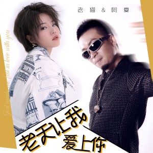 收聽老貓的老天讓我愛上你歌詞歌曲