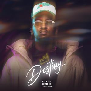 อัลบัม Destiny (Radio Edit) ศิลปิน 