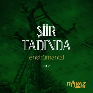 Erkan Mutlu的專輯Şiir Tadında (Enstrümantal)