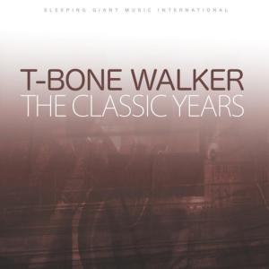 ดาวน์โหลดและฟังเพลง You Just Wanted to Use Me พร้อมเนื้อเพลงจาก T-Bone Walker