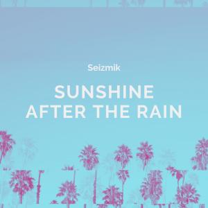 Listen to sunshine after the rain (Instrumental) song with lyrics from Seizmik