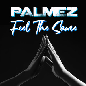 ดาวน์โหลดและฟังเพลง Feel the Same พร้อมเนื้อเพลงจาก Palmez
