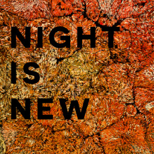 อัลบัม Night Is New ศิลปิน Jakub Żytecki