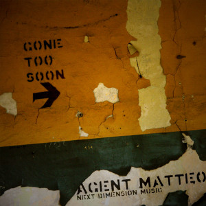 ดาวน์โหลดและฟังเพลง Gone Too Soon (Homegroove Project Mix) พร้อมเนื้อเพลงจาก Agent Matteo