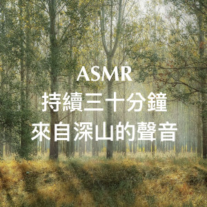 Album ASMR 持续三十分钟 来自深山的声音 from 艾米希瑜珈之音