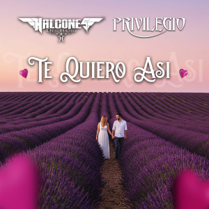 ดาวน์โหลดและฟังเพลง Te Quiero Así พร้อมเนื้อเพลงจาก Halcones del Bajío