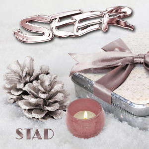 Seer的專輯Stad