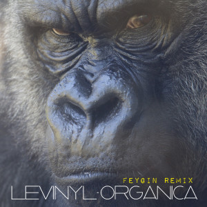 ดาวน์โหลดและฟังเพลง Organica (Feygin Remix) (混音|Feygin Remix) พร้อมเนื้อเพลงจาก Le Vinyl