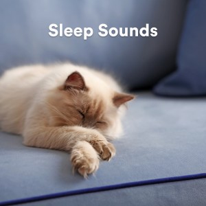 ดาวน์โหลดและฟังเพลง Mystical Rain พร้อมเนื้อเพลงจาก Rain Sounds