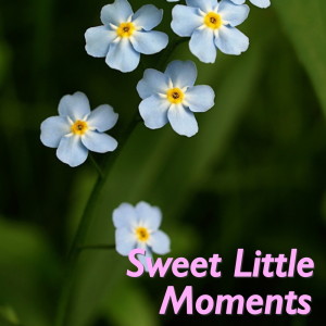 Listen to Love Me Tender song with lyrics from Group Star