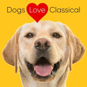 Album Piano Classical Collection for Canines from Dogs Love Classical