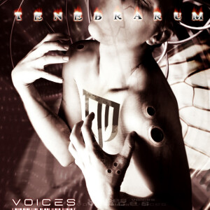 ดาวน์โหลดและฟังเพลง Tears พร้อมเนื้อเพลงจาก Tenebrarum