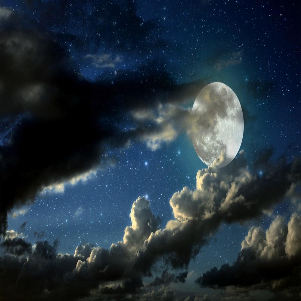 Hijo De La Noche
