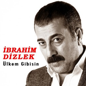 Listen to Ülkem Gibisin song with lyrics from İbrahim Dizlek