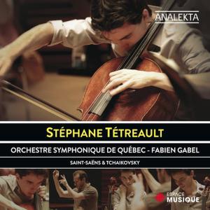 ดาวน์โหลดและฟังเพลง Le Cygne พร้อมเนื้อเพลงจาก Stéphane Tétreault