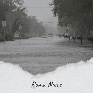 Various的专辑Roma Niece