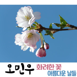 Album Beautiful Flower / Beautiful Days from rOMINWOO