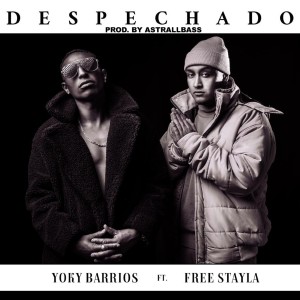 ดาวน์โหลดและฟังเพลง Despechado พร้อมเนื้อเพลงจาก Yoky Barrios