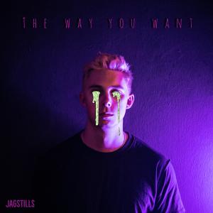 ดาวน์โหลดและฟังเพลง The Way You Want พร้อมเนื้อเพลงจาก Jagstills