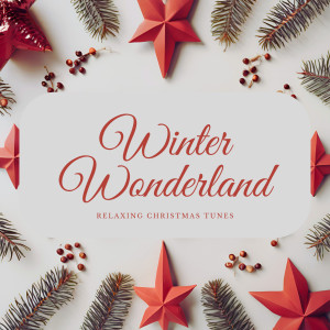 อัลบัม Winter Wonderland: Relaxing Christmas Tunes ศิลปิน Coral Infantil de Navidad