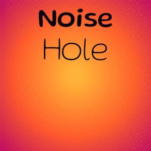 Various Artists的專輯Noise Hole