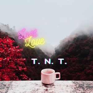 Listen to Lost Love song with lyrics from T.N.T.