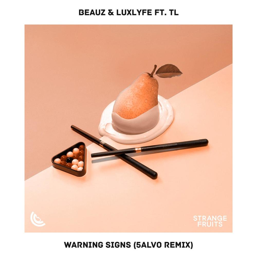 Warning Signs(feat. TL) (5ALVO Remix)