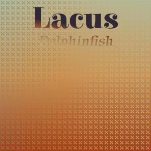 อัลบัม Lacus Dolphinfish ศิลปิน Various