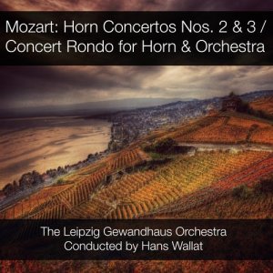 ดาวน์โหลดและฟังเพลง Concerto No. 2 for Horn & Orchestra in E-Flat Major, K.417: II. Andante พร้อมเนื้อเพลงจาก Wolfgang Amadeus Mozart