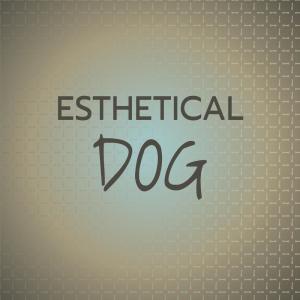 Various Artists的專輯Esthetical Dog