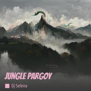 Jungle Pargoy (Remix)