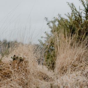 Dengarkan Nature lagu dari Sleep Sounds of Nature dengan lirik