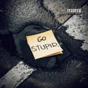 Listen to GO STUPID (Explicit) song with lyrics from Skills
