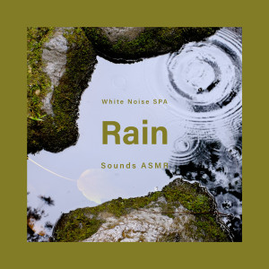 白噪音 冥想 雨聲 森林ASMR氛圍之聲 dari Noble Music Project