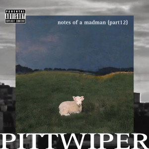 Album notes of a madman, Pt. 12 (Explicit) from PittWiper