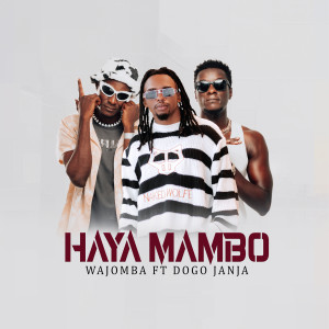 Album Haya Mambo oleh Dogo Janja