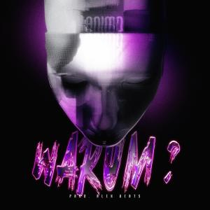 Animo的专辑WARUM (Explicit)