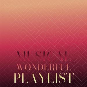 Various Artists的专辑Musical Wonderful Playlist