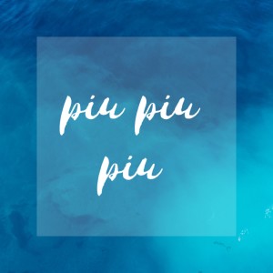 Album Piu Piu Piu oleh 小拳权