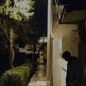 Album You Already Know (feat. Mary) from BRUSNUTS