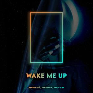 Listen to Wake Me Up song with lyrics from Studavigå