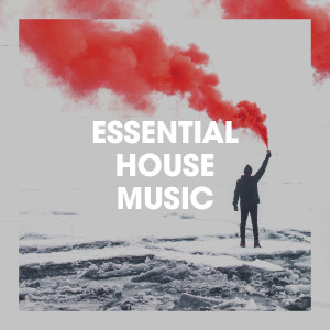 Dubstep Electro的专辑Essential House Music