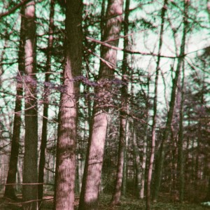 收聽The Field Tapes的dream (instrumental)歌詞歌曲