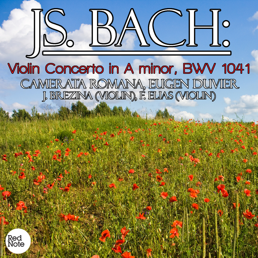 Violin Concerto in A minor, BWV 1041: III. Allegro assai