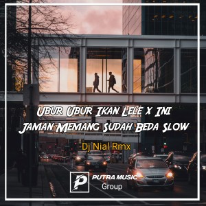 Dengarkan lagu Ubur Ubur Ikan Lele x Ini Jaman Memang Sudah Beda Slow (Remix) nyanyian Dj Nial Rmx dengan lirik