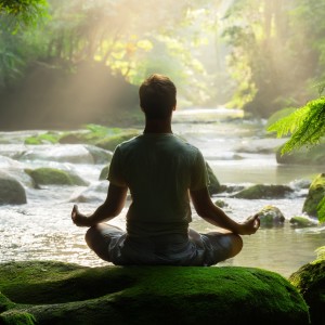 ดาวน์โหลดและฟังเพลง The Peaceful Path พร้อมเนื้อเพลงจาก Meditation Harmonies