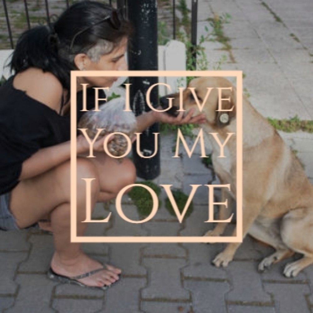 This Love of Mine