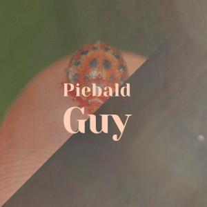 Various的专辑Piebald Guy