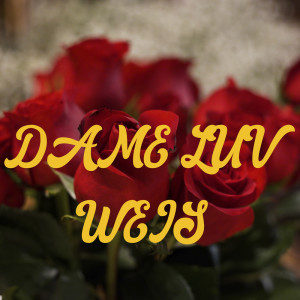 收听Weiß的Dame Luv歌词歌曲